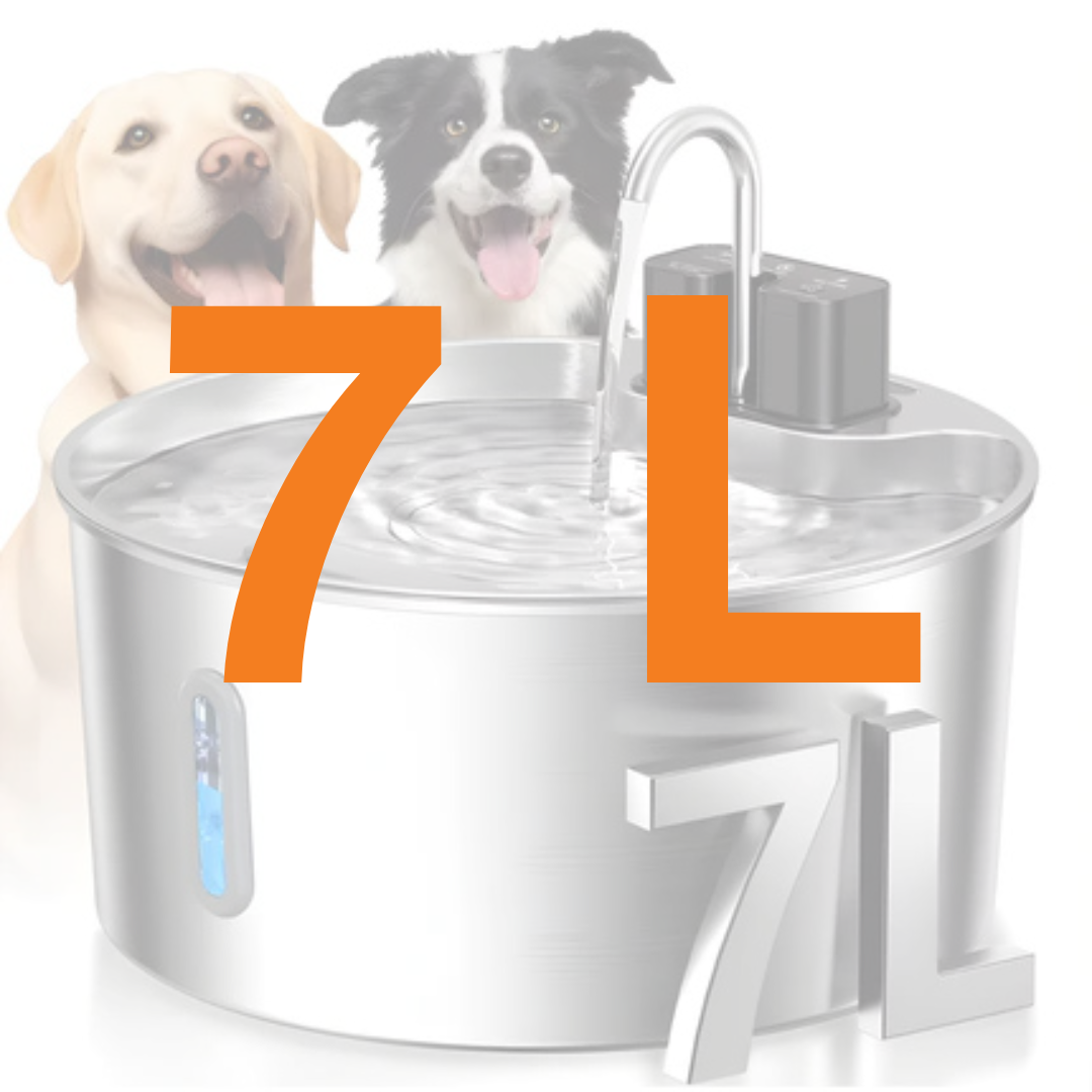 Nora | Trinkbrunnen für echte Hydrations-Ruhe