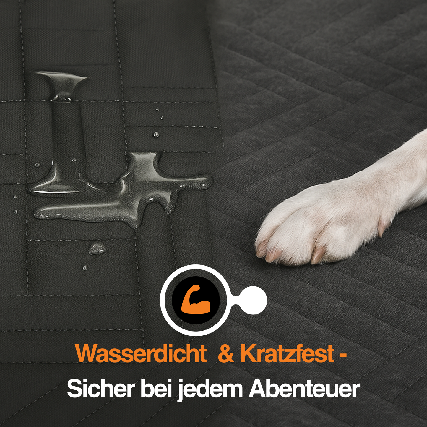 Luna – Sauber. Sicher. Stressfrei