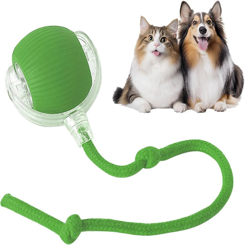 Interaktiver Smart Ball für Hunde & Katzen – Spielzeug