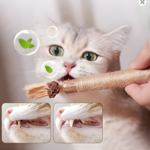 GRATIS Silvervine Kau-Sticks