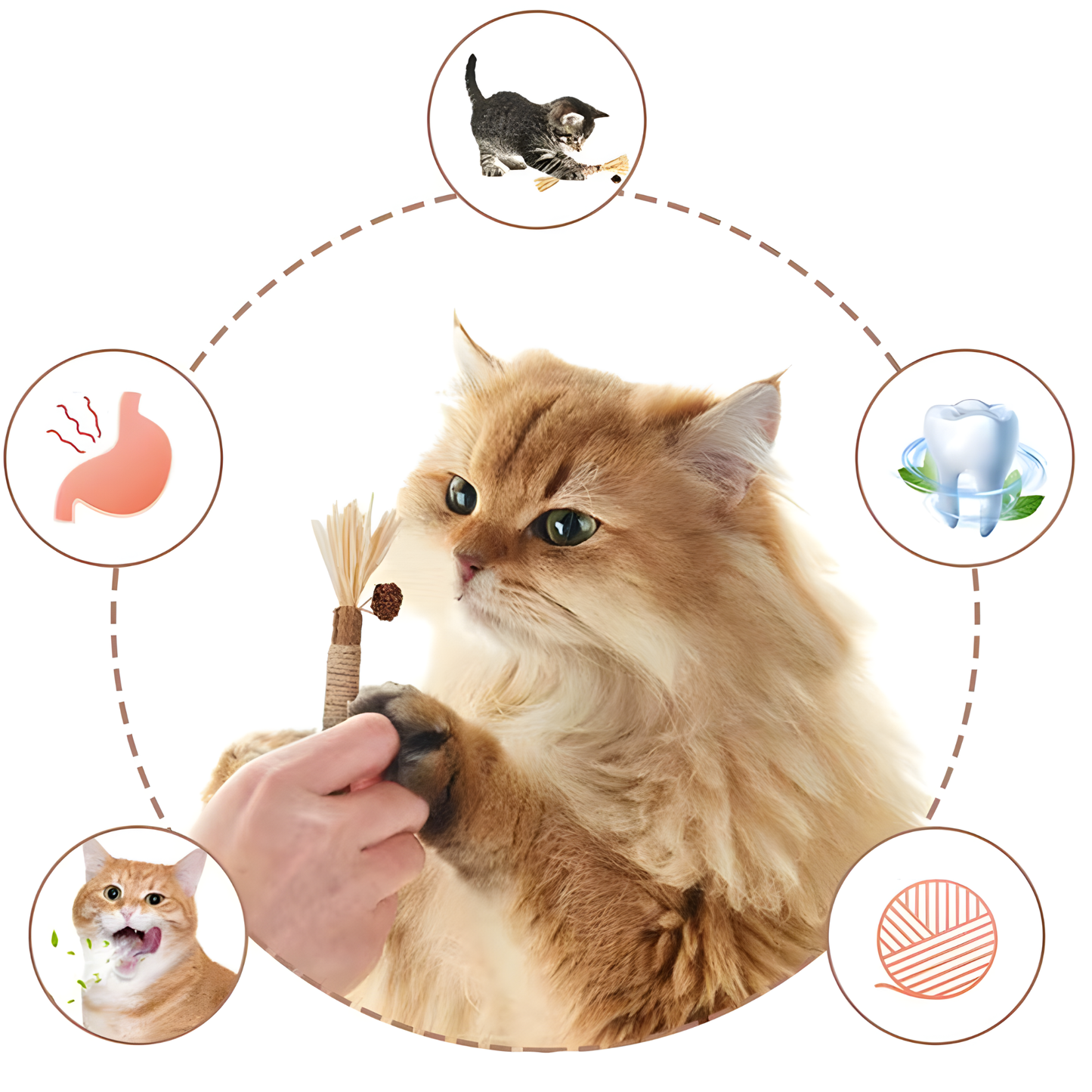 GRATIS Silvervine Kau-Sticks