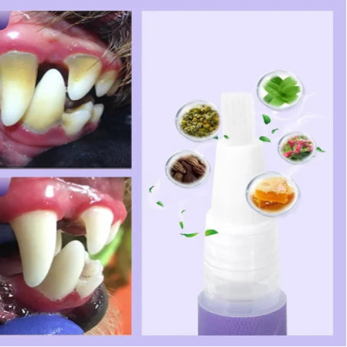 Pet Oral Repair Gel für Hunde & Katzen – gesunde Zähne