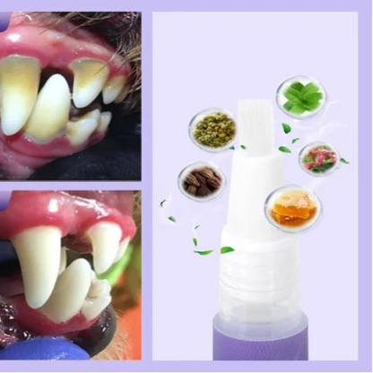 Pet Oral Repair Gel für Hunde & Katzen – gesunde Zähne