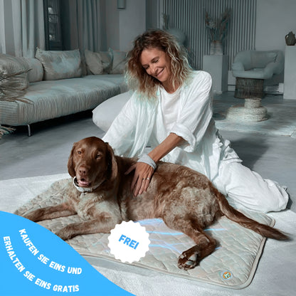 CoolCare Matte | Weil dein Hund zählt