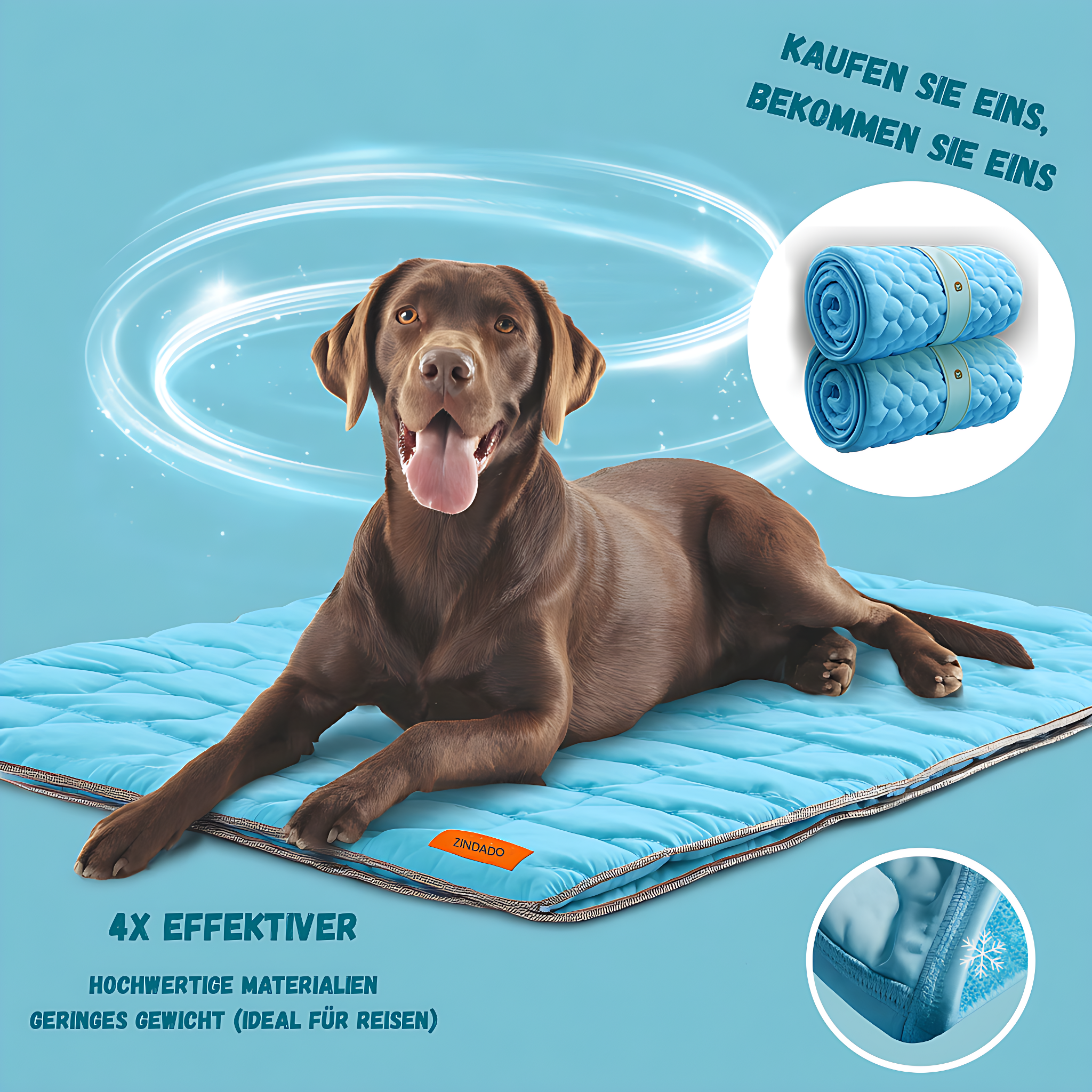 CoolCare Matte | Weil dein Hund zählt