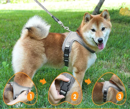Reflektierendes Hundegeschirr mit Leine – Sicher Gassi gehen