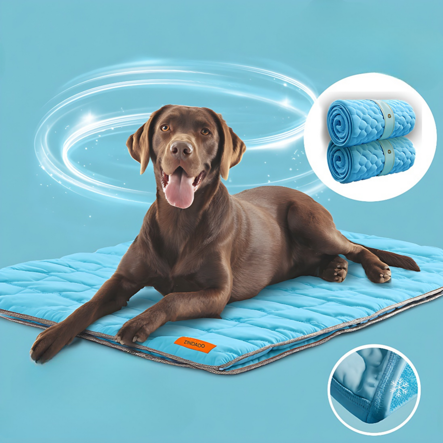 CoolCare Matte | Weil dein Hund zählt