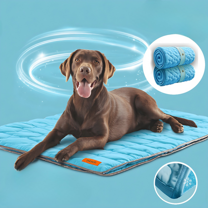 CoolCare Matte | Weil dein Hund zählt