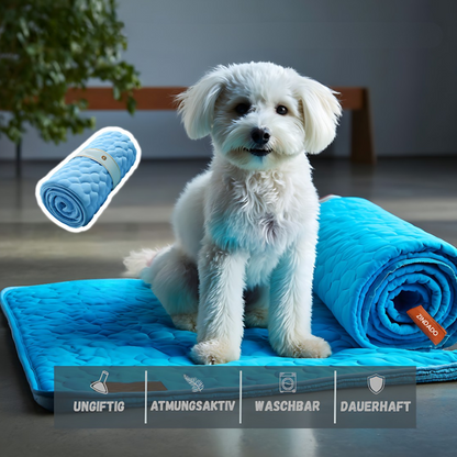 CoolCare Matte | Weil dein Hund zählt