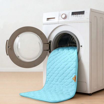 CoolCare Matte | Weil dein Hund zählt