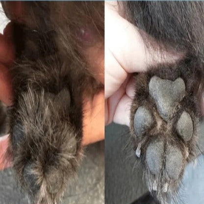 Kabelloser Pfotentrimmer für Hunde – Leise, Sichere & Präzise Fellpflege (Wiederaufladbar)