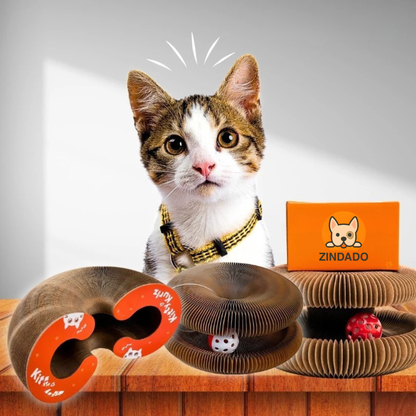 Kiki | Interaktiver Kratz-Spielring