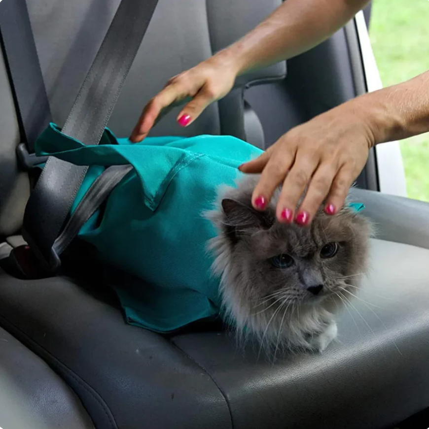 KatzenPouch | Sicher Sanft Stressfrei